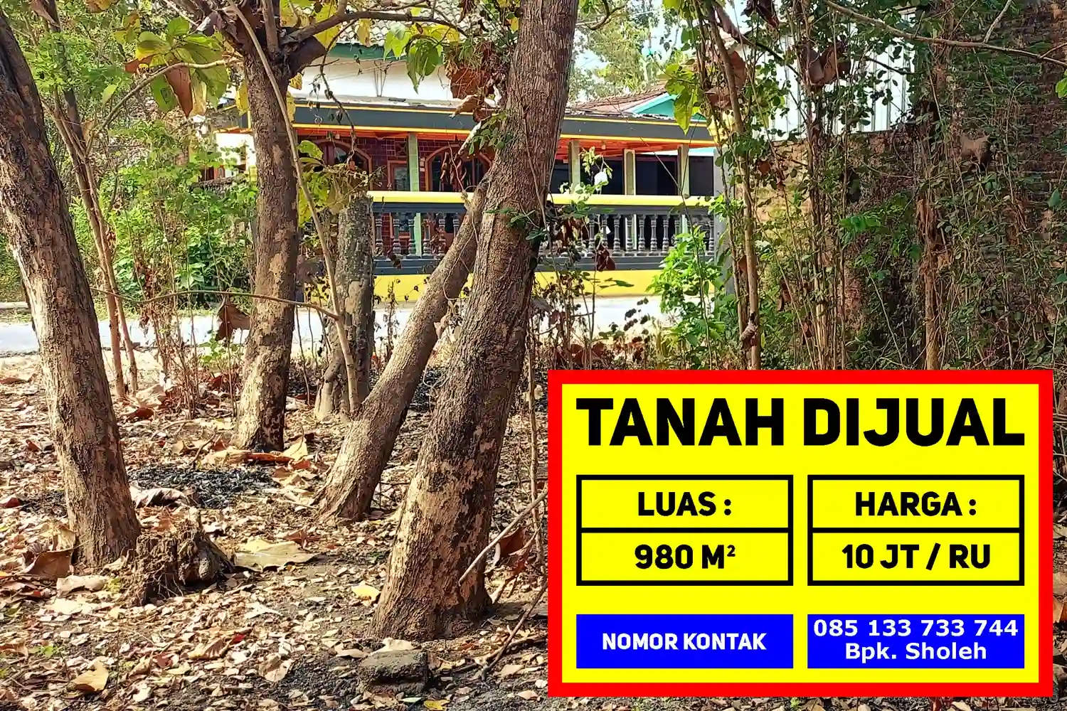 Property image