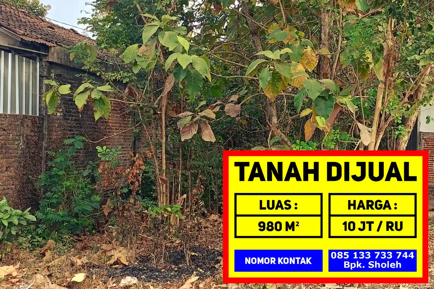 Property image